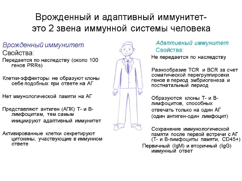 Врожденный и адаптивный иммунитет-  это 2 звена иммунной системы человека Врожденный иммунитет Свойства: